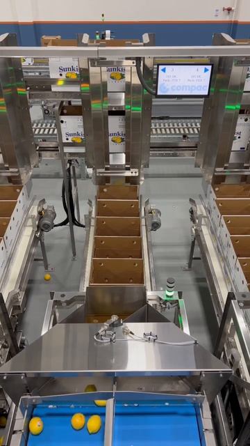 The “you make it easy” automated lemon 🍋 count filler & auto box delivery @packlinetech