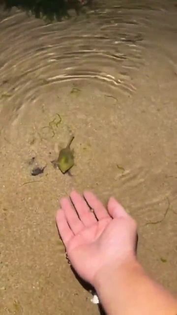 1000059662.mp4