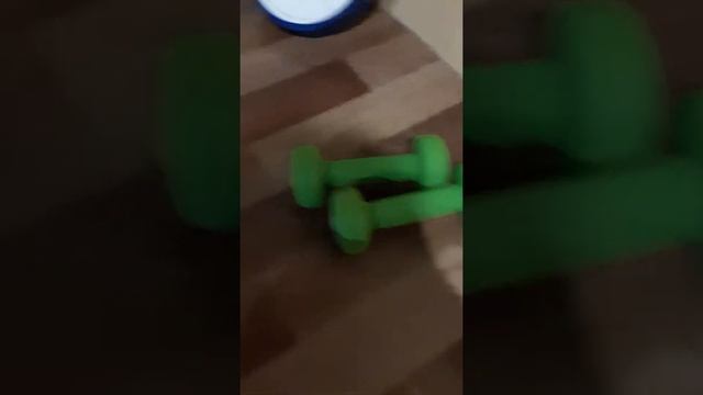 Мой вечер с питомцами