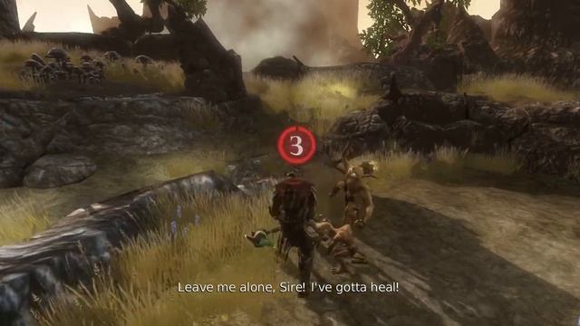 Overlord in a nutshell