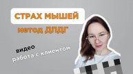 Страх мышей. Работа с клиентом. Метод ДПДГ