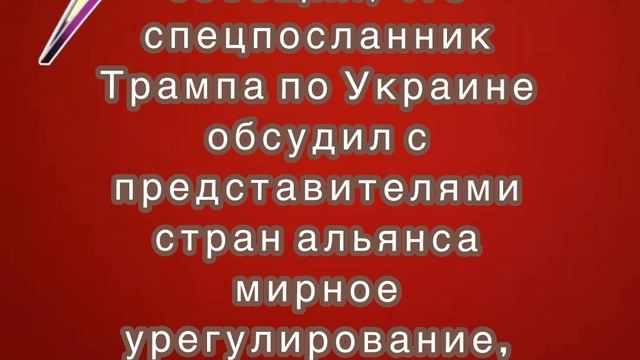 Генсек НАТО сообщил, что спецпосланник Трампа по Украине обсудил с представителями стран альянса