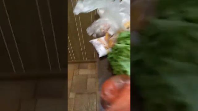 Страус пожалуйста не забудьте подписаться поставить лайк и нажать на колокольчик я очень сильно стр