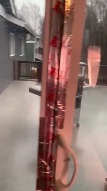 1000059805.mp4