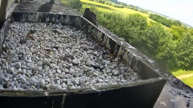 Wijk bij Duurstede -  selluf eten  - 30 mei 2024