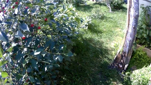 обзор территории/хроника/22.07.22