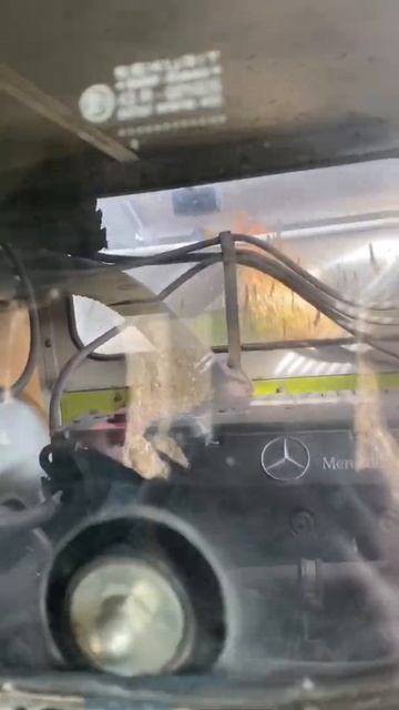 Збирання кукурудзи p9074 Pioner , врожай 98,5 Ц .