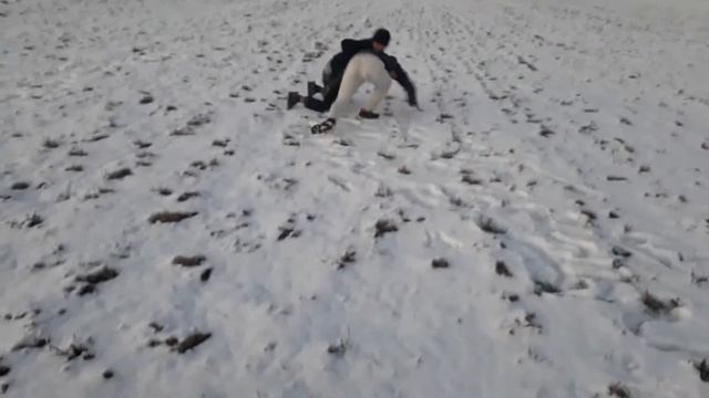 Чёрный дельфин