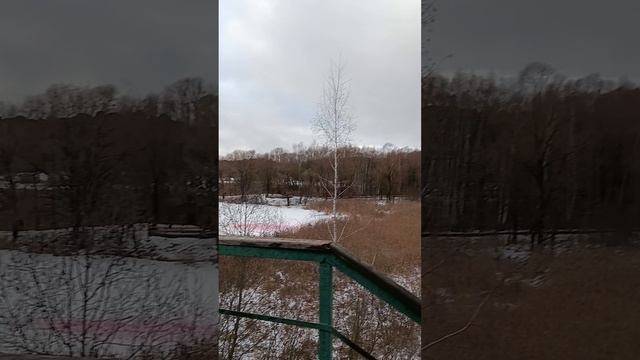 Чем заняться в 63 жить в Москве, оказывать услуги адвоката, уроки #english , массаж, туризм, гулять,