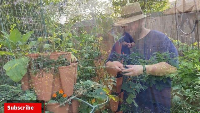 May 2021 Garden Tour
