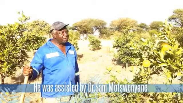 Raphela’s farm grows three types of citrus family group