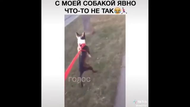 🔥ТОП ПОДБОРКА В ТИК ТОК #ТИК ТОК