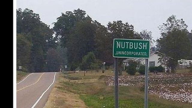 Ike & Tina Turner "Nutbush City Limits (Extended Version)"