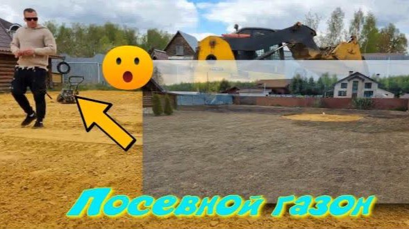 Посевной газон
