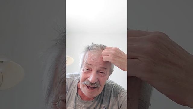 Лебеди