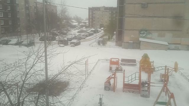 VID_20250218_131935