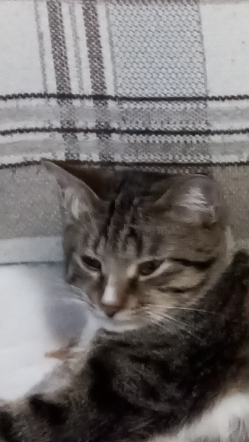 видео будут чаще