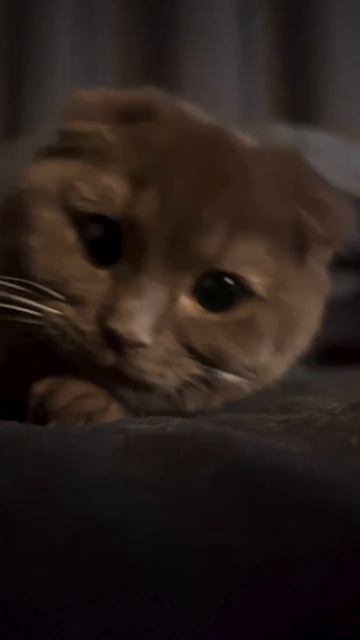 1000000705.mp4