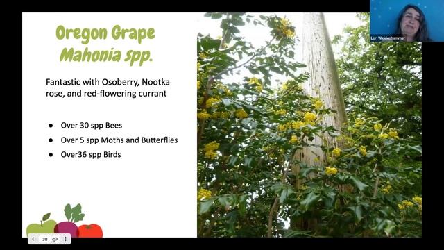 Farm to School BC Webinar: Welcoming Pollinators to your School Garden