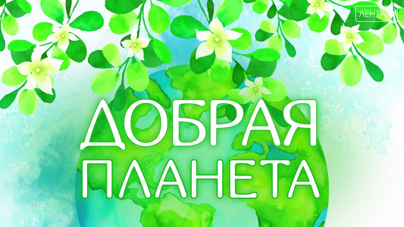 Добрая планета. День операционных медсестер: признание и благодарность!