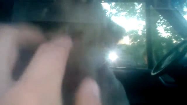 СОБАКА САТАНЫ