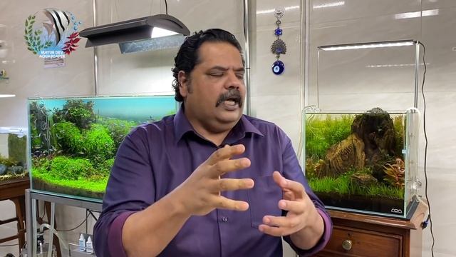 Low Tech | Non Co2, Non ADA | Planted Aquarium | 3rd month review | Mayur Dev's Tips Nature Aquariu