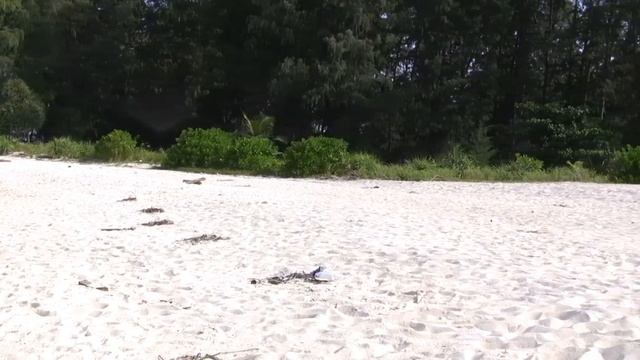 Koh Lipe - Thailand