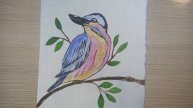 Рисунок акварелью / Птичка