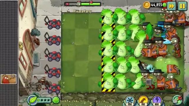 Капуста стала боксером PvZ 2