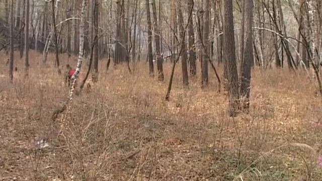 В Приамурье сохраняются крайние противопожарные ...