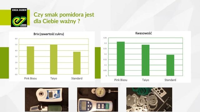 Enza Zaden: którą odmianę pomidora wybrać?