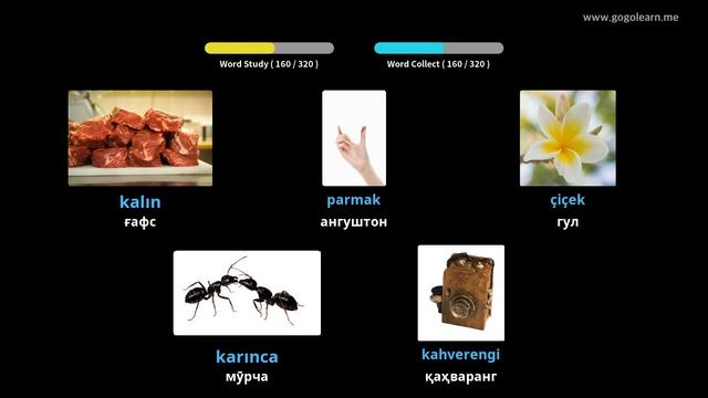 Гӯш кардани луғати луғавии туркӣ ҳангоми рондан | Golearn