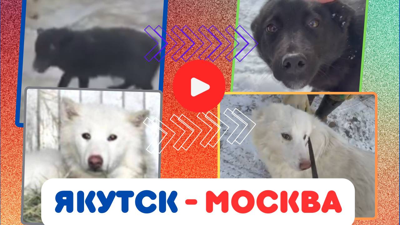 Якутск прощай - Москва встречай!!!