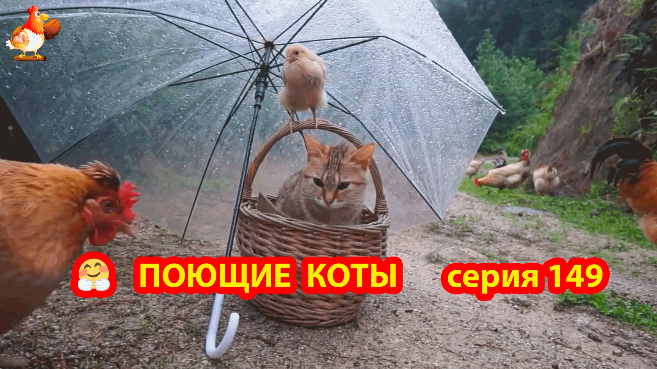 Крутые коты у птичьего двора серия (149) 🐈🐈😹 Природа Абхазии и подворье с птицами и животными ❣