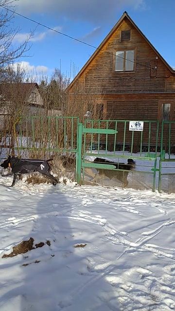VID_20250218_152645