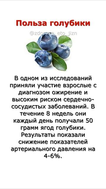 Польза голубики