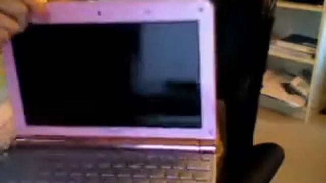 Toshiba Net book NB 205 pink