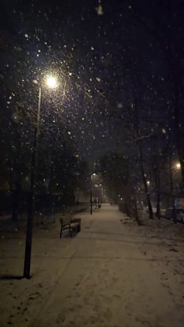 ❄️Снегопад начался в Москве❄️