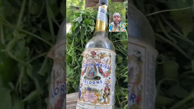 MEDICINAL AND SPIRITUAL USES OF NYANYA (MOMORDICA CHARANTIA) LEAVES @GIAW TV
