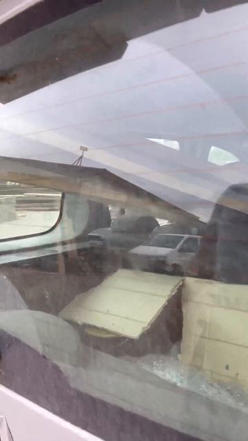 Готовые полки из Алтайского сухостойного Кедра по всей РФ🚚 Часть 2