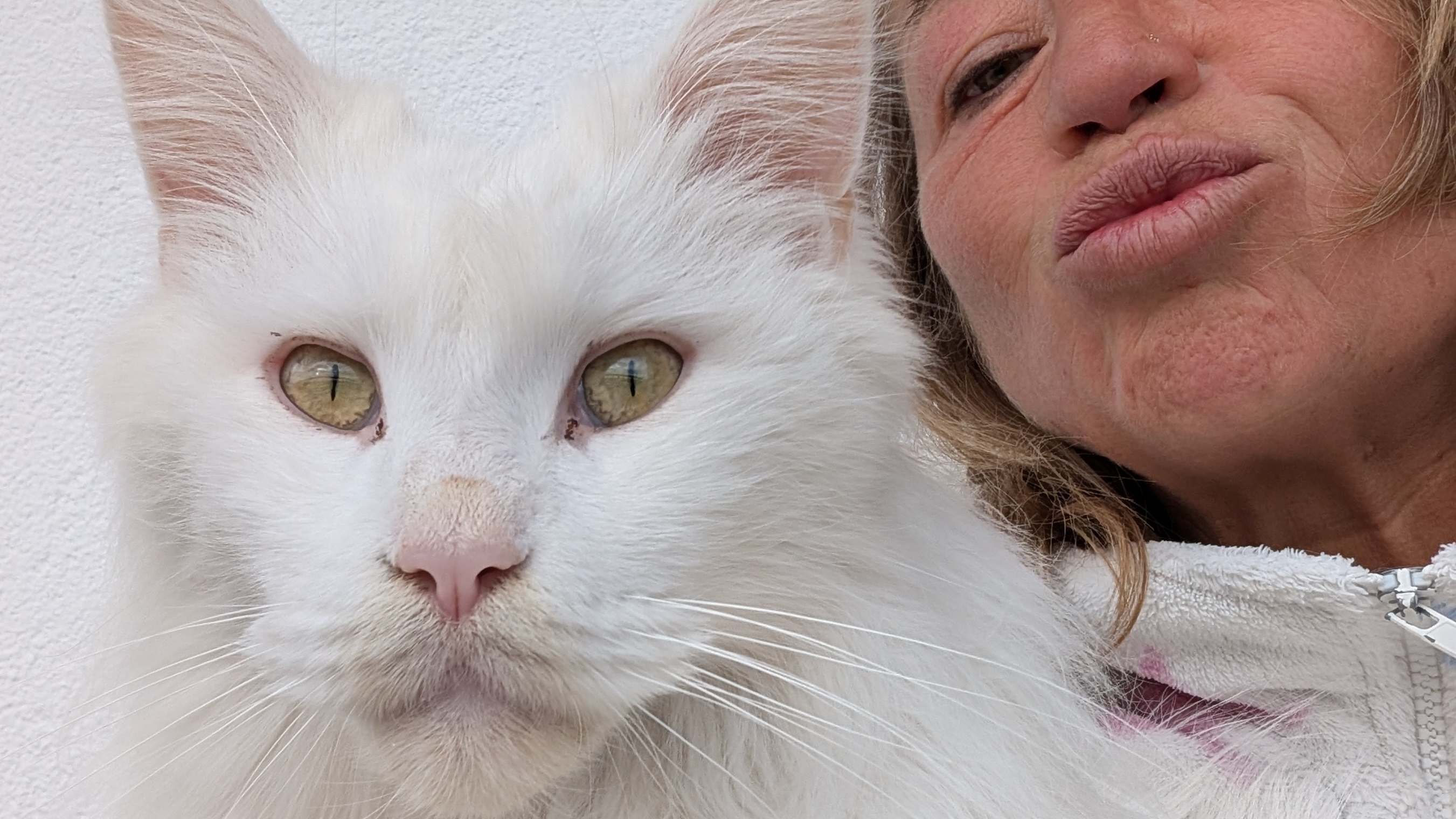 С приветом от солнечного Мирика 🐾