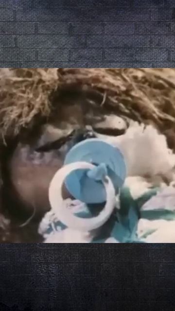 Домовой. Добрый дух нашего дома.Ч-3