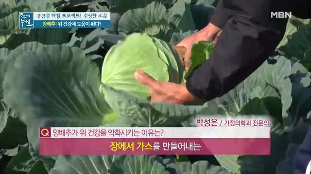 양배추가 위 건강을 악화시킨다?