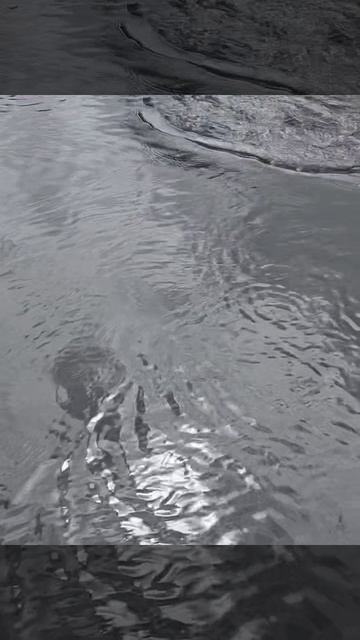 Жерех на каждом забросе  #рыбалка #fishing #рыбалкавидео  Подпишись: https://vk.com/rybalkasgidomru