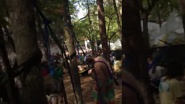 Rusted Root :: "Send Me On My Way" :: Wanee 2014 (HAMMOCK POV)
