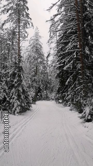 Отдых лыжника под биение сердца.mp4