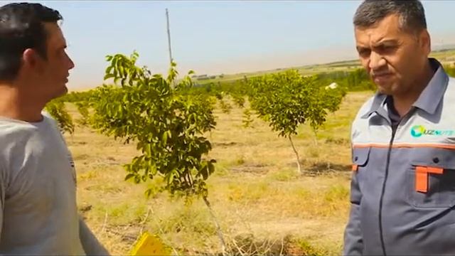 video 2020 08 22 10 25 591