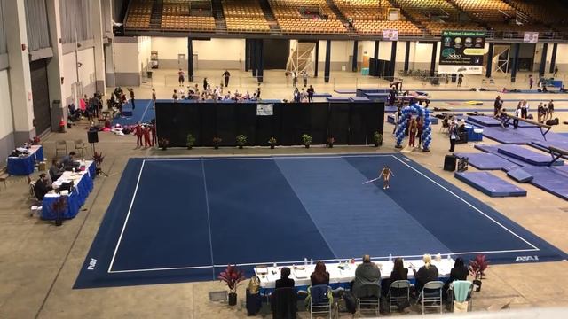Stefania Mishtal. Level 4. Hoop. Suncoast Sports Festival 2017. Tampa. Florida
