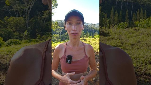 Все про живот. Комплексный подход к улучшению внешнего вида и здоровья самой проблемной части тела