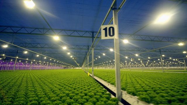 Европа с высоты птичьего полета. 1 серия. Нидерланды